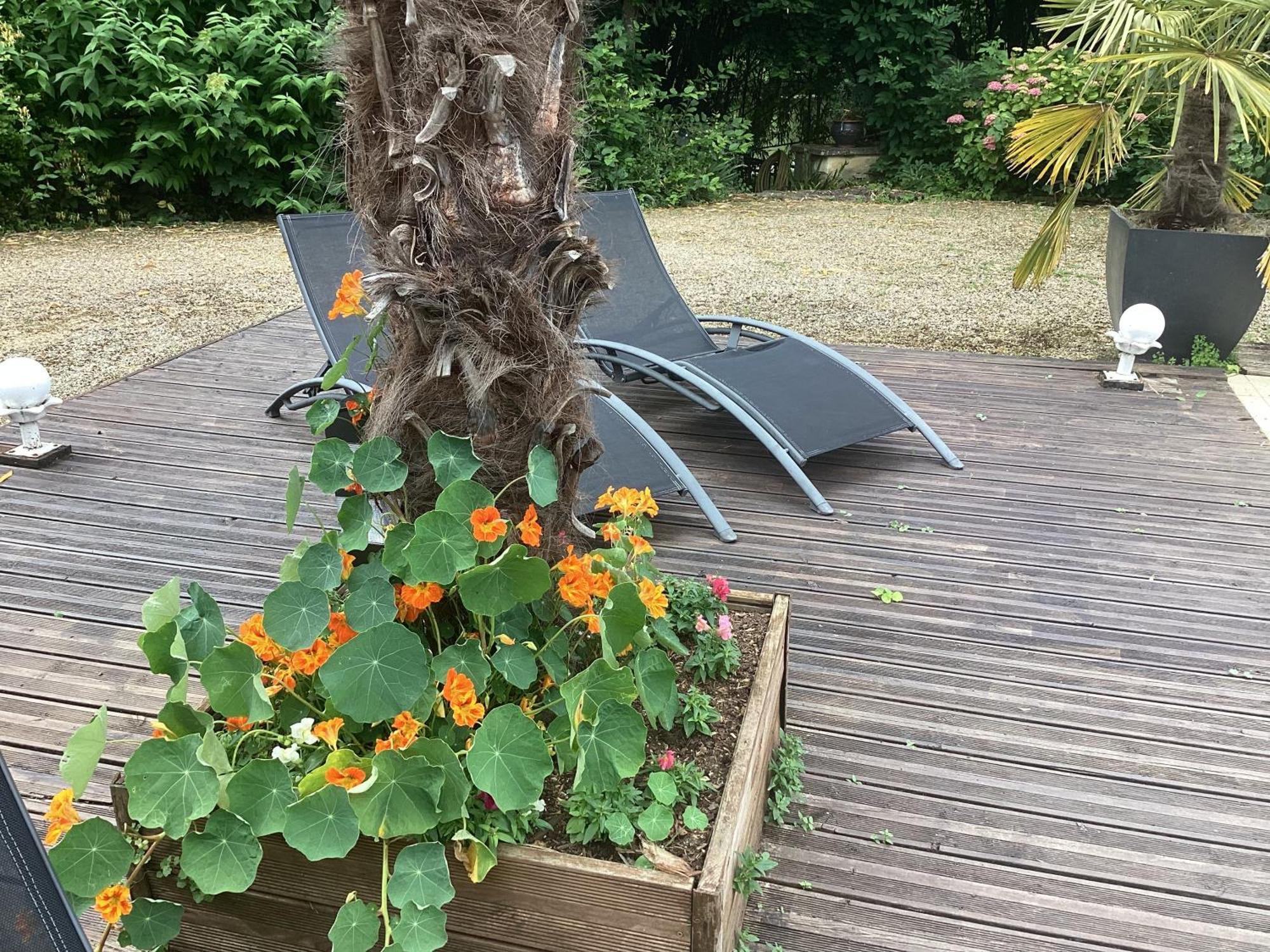 Le Lavoir Bed and Breakfast Châteauroux Eksteriør billede