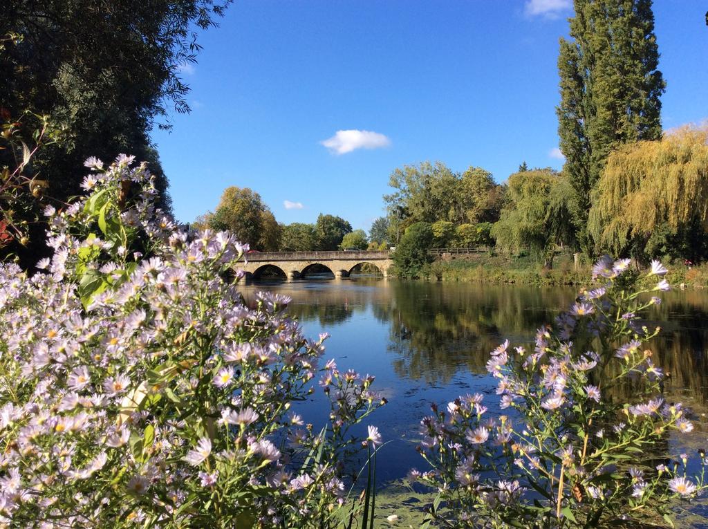 Le Lavoir Bed and Breakfast Châteauroux Eksteriør billede